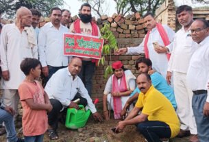 बरौली नगर पंचायत में पौधारोपण करतीं जिलाध्यक्ष लक्ष्मी धनगर