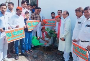पीडीए पेड़ वृक्षारोपण कार्यक्रम के तहत पौधरोपण करतीं सपा जिलाध्यक्ष लक्ष्मी धनगर एवं अन्य सपा कार्यकर्ता